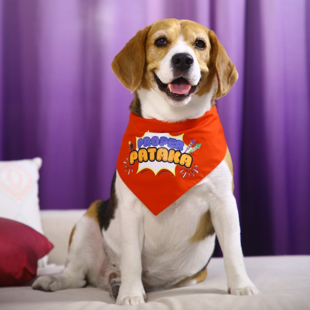 Dogobow Proper Pataka Bandana for Dogs (Red/White)