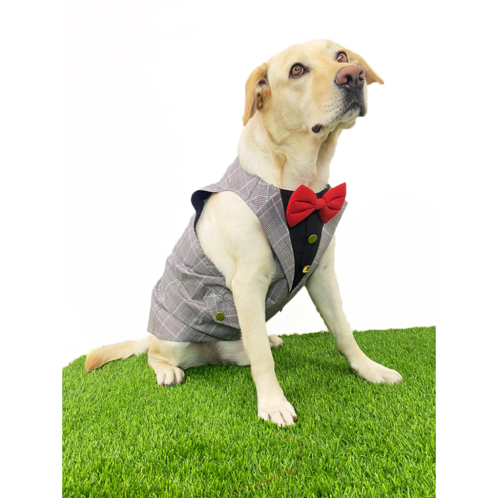 Dogobow Checked Tuxedo for Dogs (Grey) (Get a Bow Free)