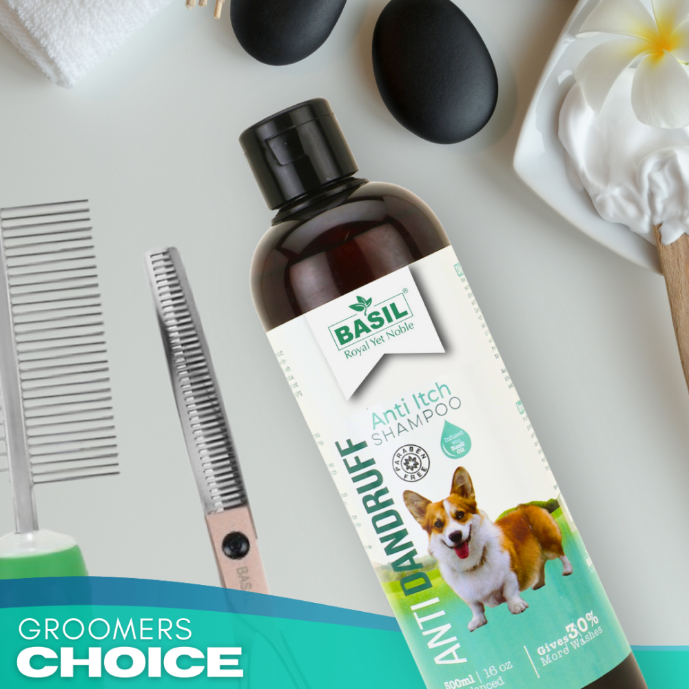 Basil Anti Dandruff & Anti Itch Shampoo for Dogs and Cats - Image 3