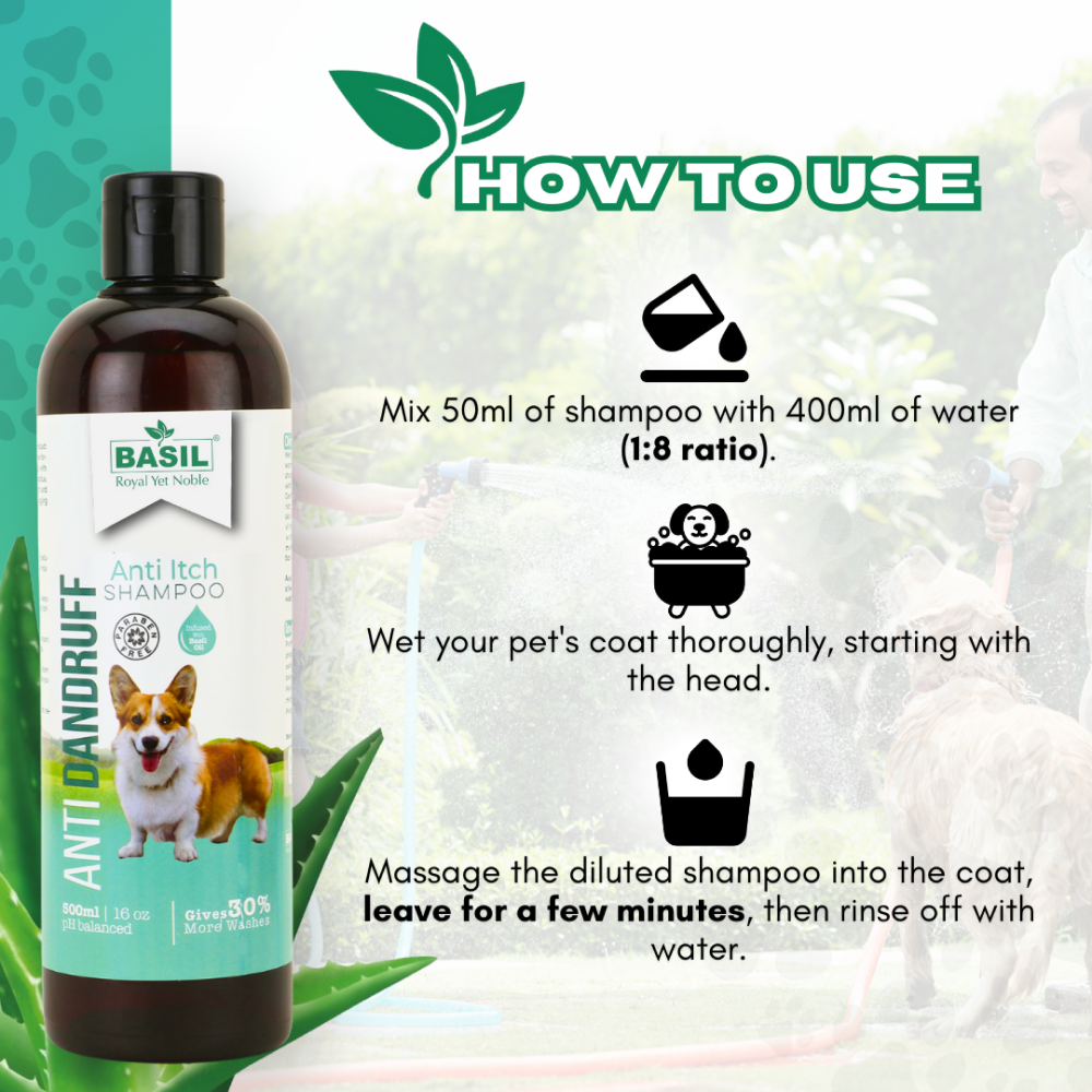 Basil Anti Dandruff & Anti Itch Shampoo for Dogs and Cats - Image 2