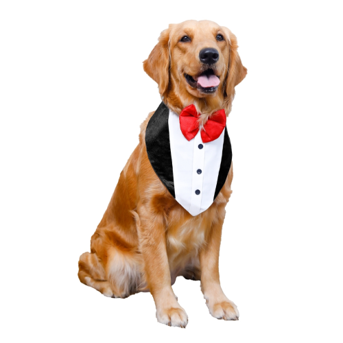 15buttons Tuxedo Bandana for Dogs