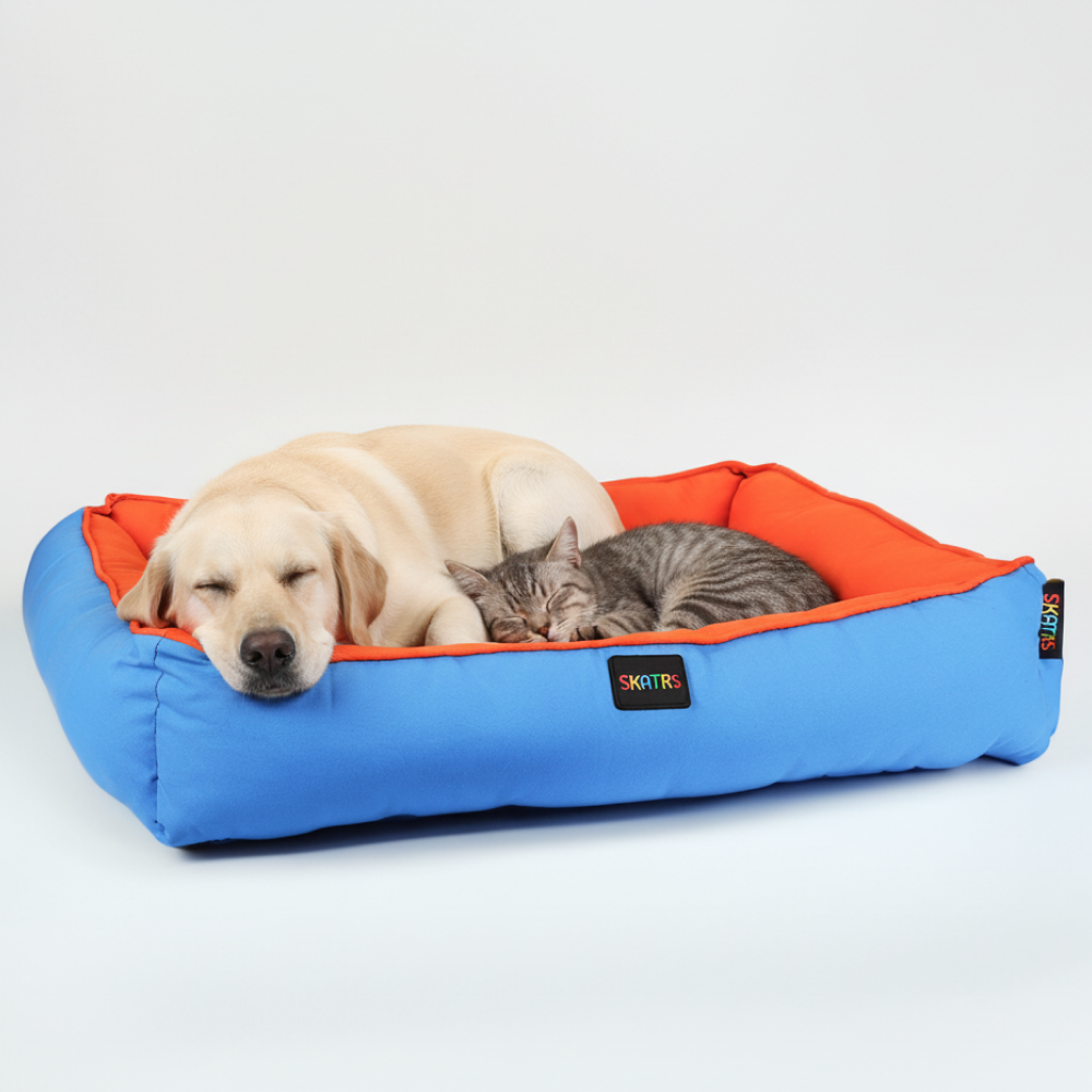 Skatrs Square Shaped Bed for Dogs & Cats (Orange & Blue)