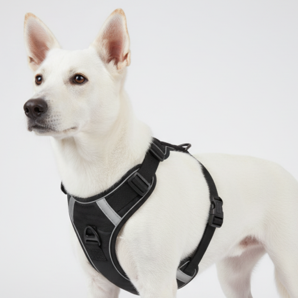 Skatrs Fully Padded Comfort Midnight Reflective Harness for Dogs & Cats (Black)