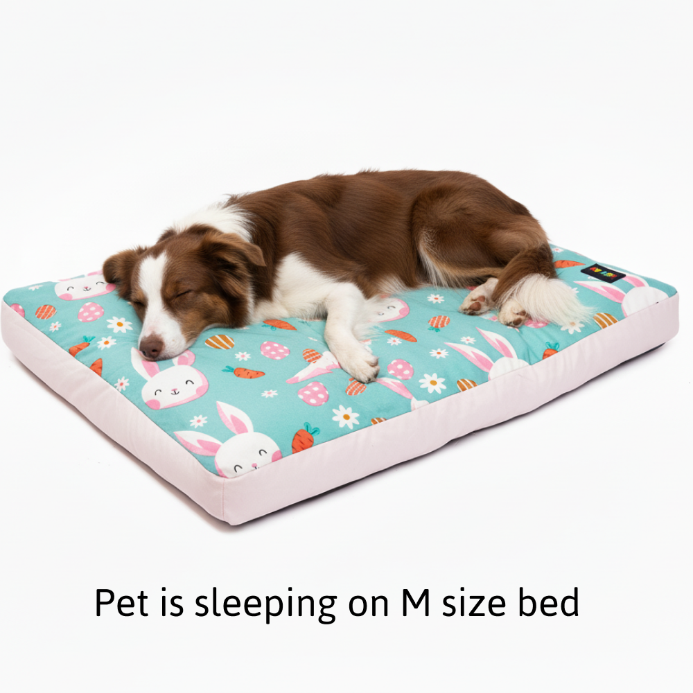 Skatrs Bunny Bloom Flat Bed for Dogs & Cats (Light Blue) - Image 4