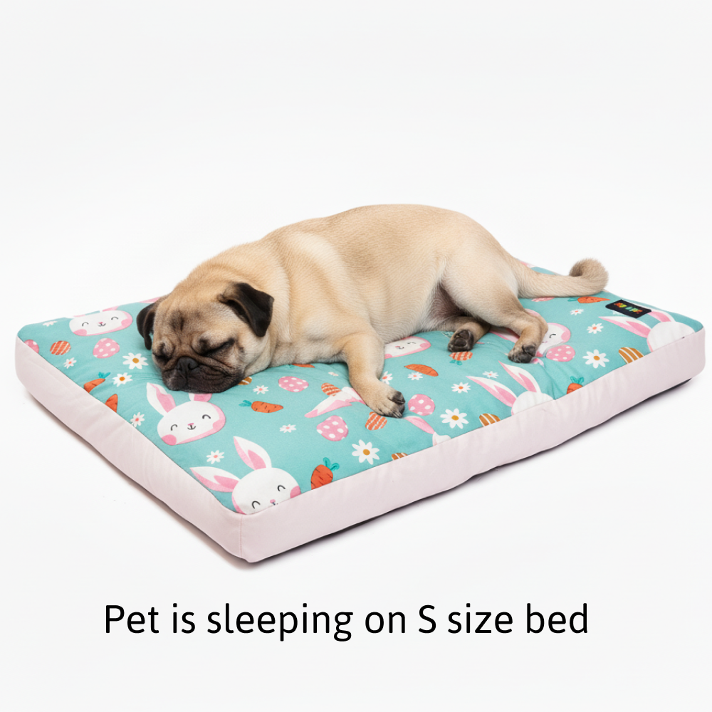 Skatrs Bunny Bloom Flat Bed for Dogs & Cats (Light Blue) - Image 3