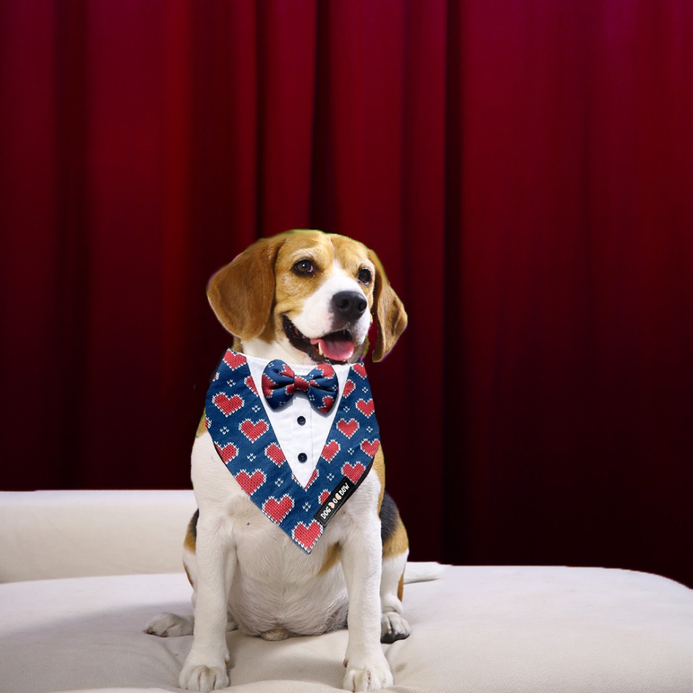 Dogobow Hearty Print Tuxedo Bandana for Dogs (Blue/Red)