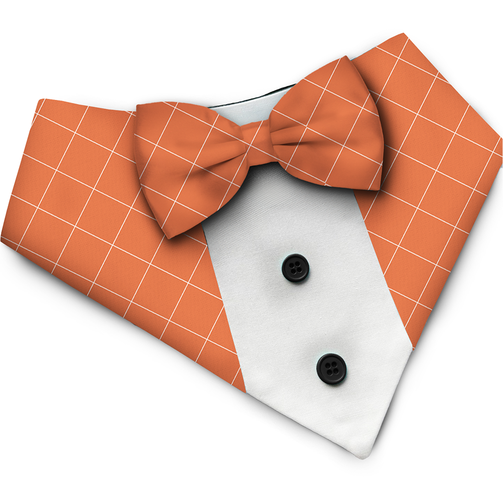PawsIndia Orange Checks Pattern Tuxedo Bandana with Matching Bow for Dogs and Cats