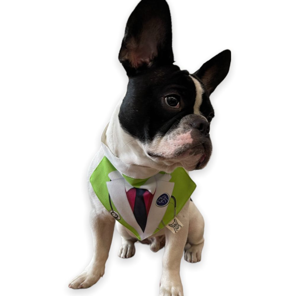 Talking Dog Club Doctor Bandana for Dogs and Cats (Brown)