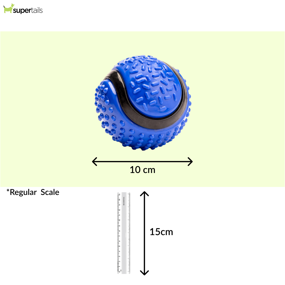 Kibbo Non Toxic Dotted Rubber Big Ball Chew Toy For Dogs And Cat Blue - Image 2