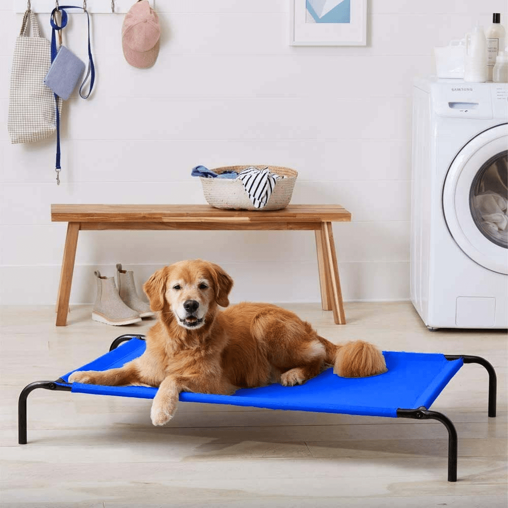 Fluffy's Pawsome Waterproof elevated Sides Camping Bed for Dogs (Blue) - Image 2