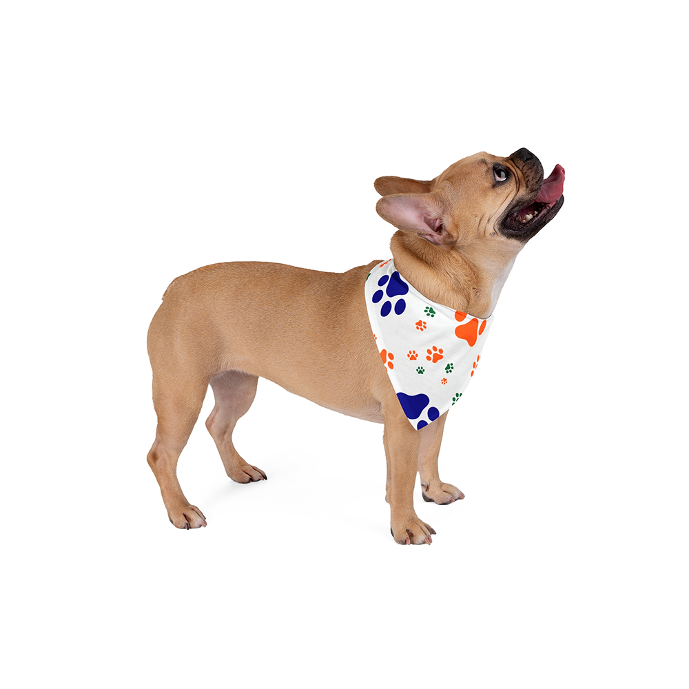 Skatrs IndiePaw Bandana for Dogs and Cats