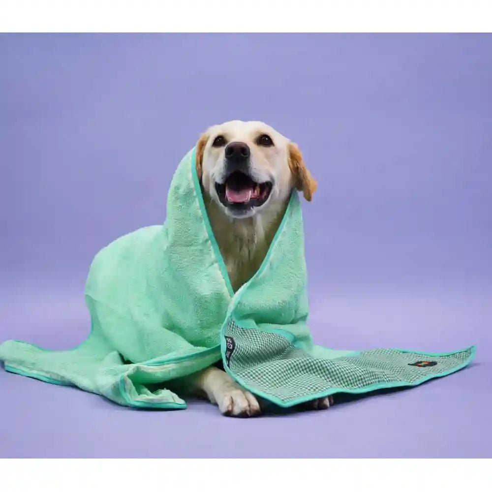Skatrs Cuddle Microfiber Towel for Dogs and Cats (Green)
