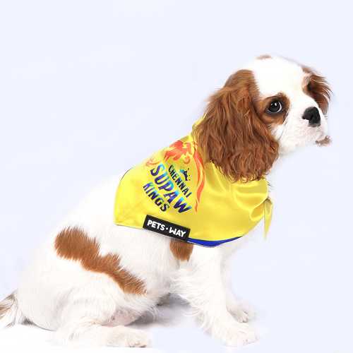 Pets Way Chennai Supaw Kings Ipl Bandana For Dogs And Cats
