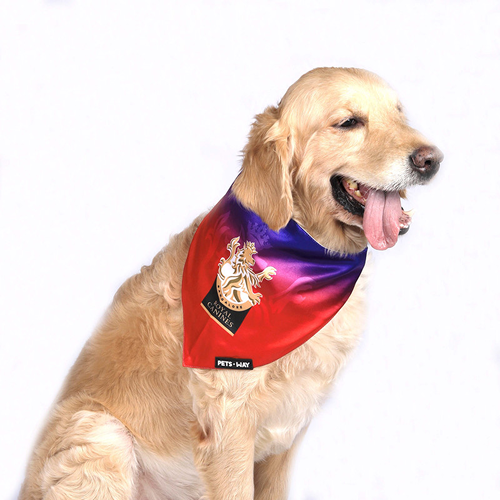 Pets Way Royal Canines Bangalore IPL Bandana for Dogs and Cats (Red) | Indian Pet League