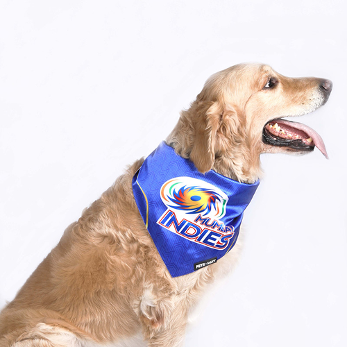 Pets Way Mumbai Indies IPL Bandana for Dogs and Cats (Blue) | Indian Pet League