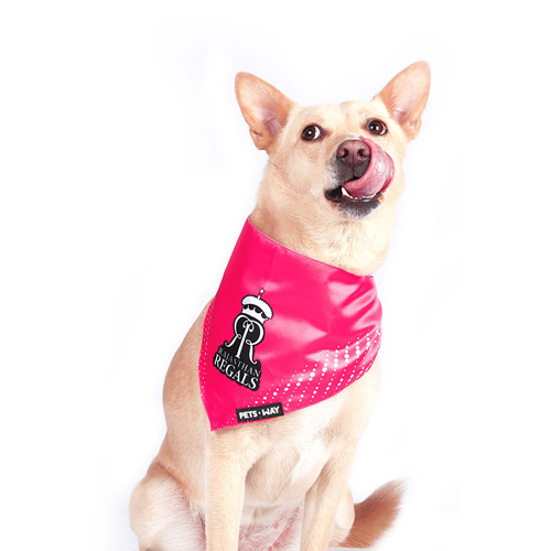 Pets Way Rajasthan Regals IPL Bandana for Dogs and Cats (Pink) | Indian Pet League