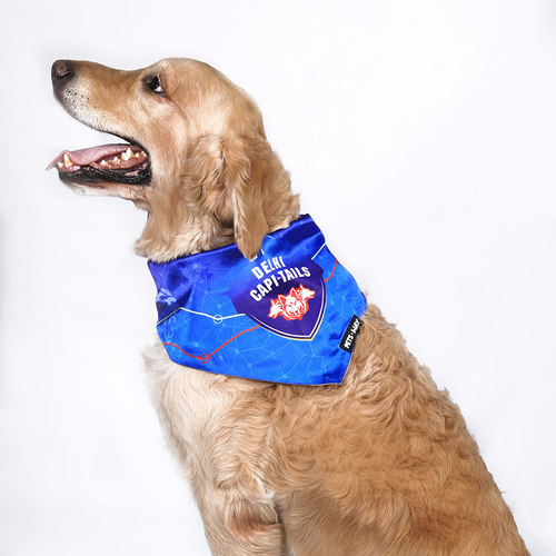 Pets Way Delhi Capi Tails IPL Bandana for Dogs and Cats (Blue) | Indian Pet League