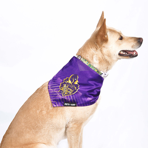 Pets Way Kolkata Kennel Riders IPL Bandana for Dogs and Cats (Purple) | Indian Pet League