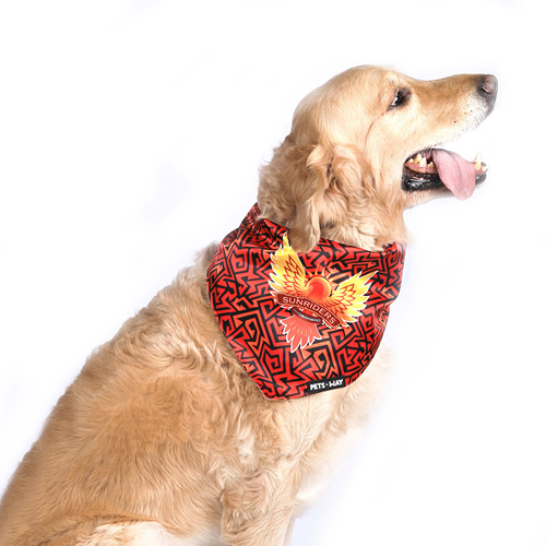 Pets Way Sunriders Hydrabad IPL Bandana for Dogs and Cats (Orange) | Indian Pet League