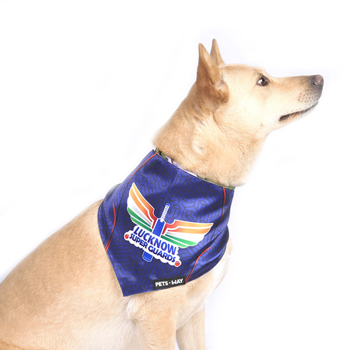 Pets Way Lucknow Super Guards IPL Bandana for Dogs and Cats (Blue) | Indian Pet League