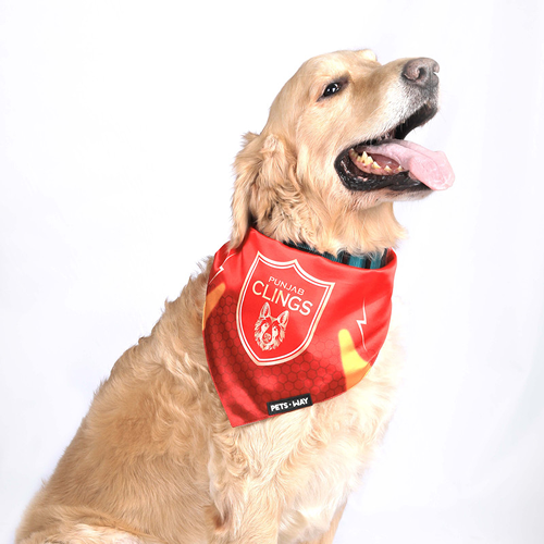 Pets Way Punjab Clings Ipl Bandana For Dogs And Cats