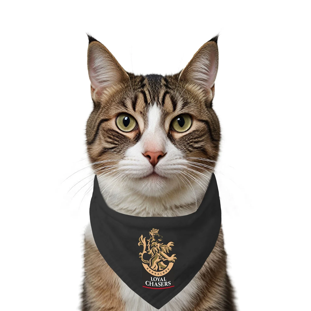 Ruse IPL Loyal Chasers Bangalore Printed Bandana for Cats (Black) | Indian Pet League