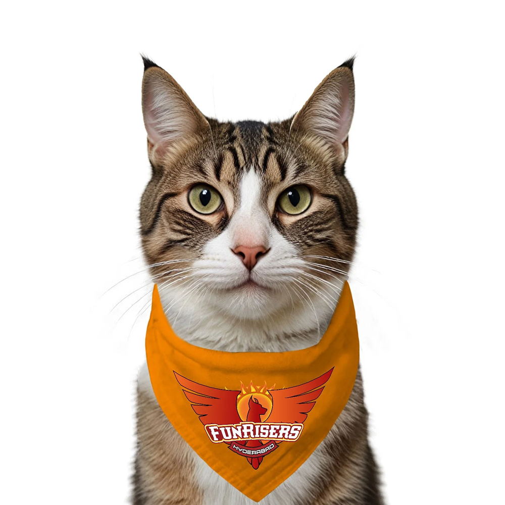 Ruse IPL Funrisers Hyderabad Printed Bandana for Cats (Orange) | Indian Pet League