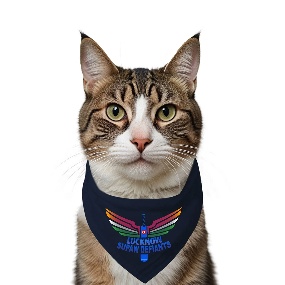 Ruse IPL Lucknow Supaw Printed Bandana for Cats (Navy) | Indian Pet League