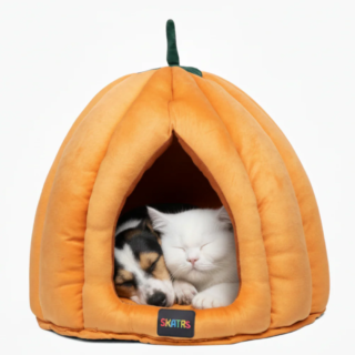 Skatrs Pumpkin Spice House for Cats and Small Dogs