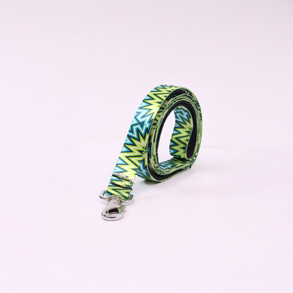 Skatrs Electric Pop Leash for Dogs