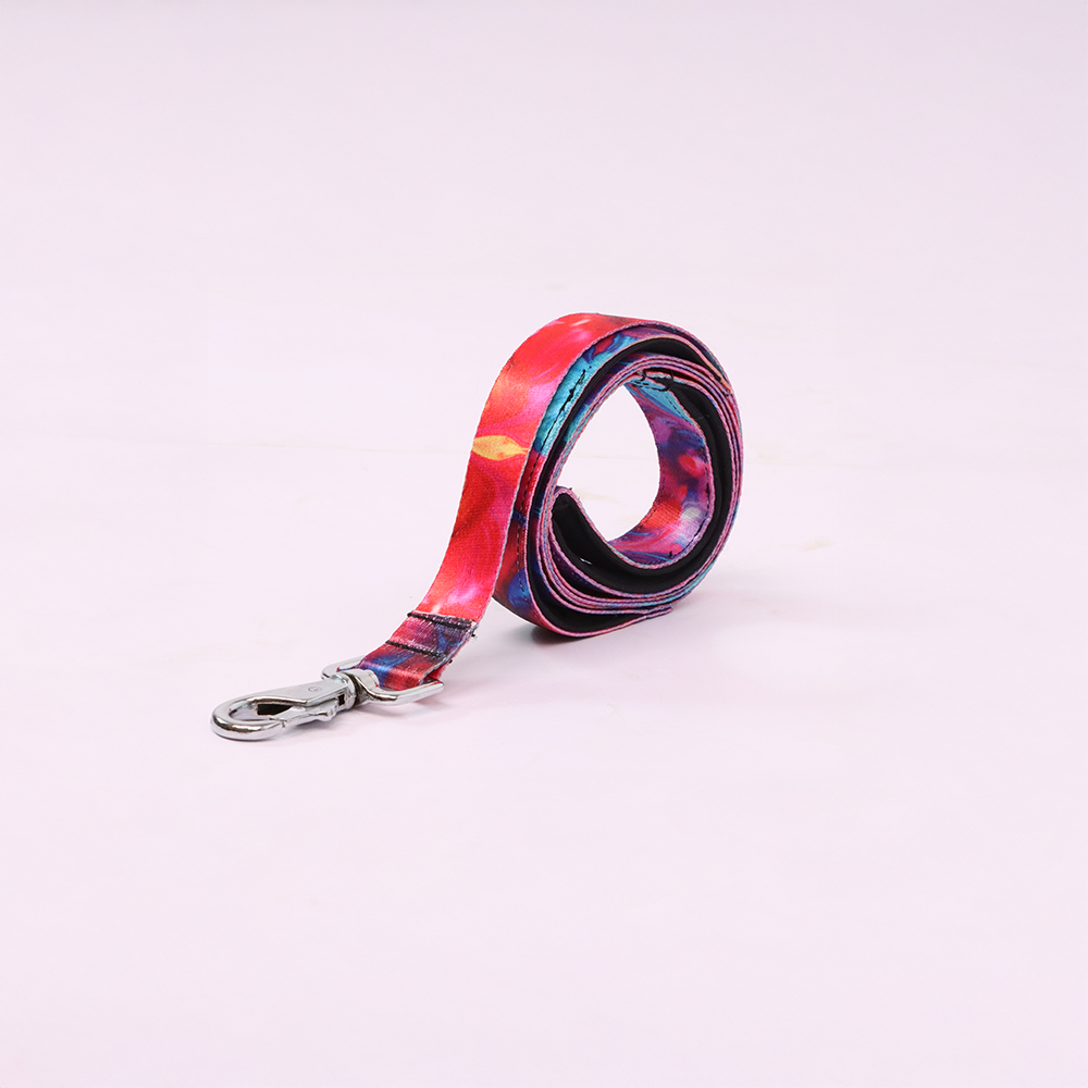 Skatrs Liquid Art Leash for Dogs