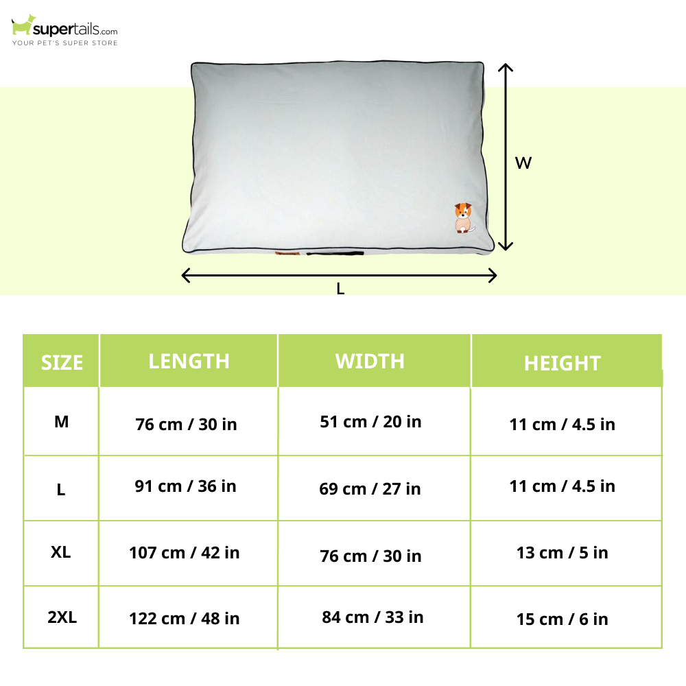 Petter World Comfort Flat Cushion Bed for Dogs (Celeste Green) - Image 2