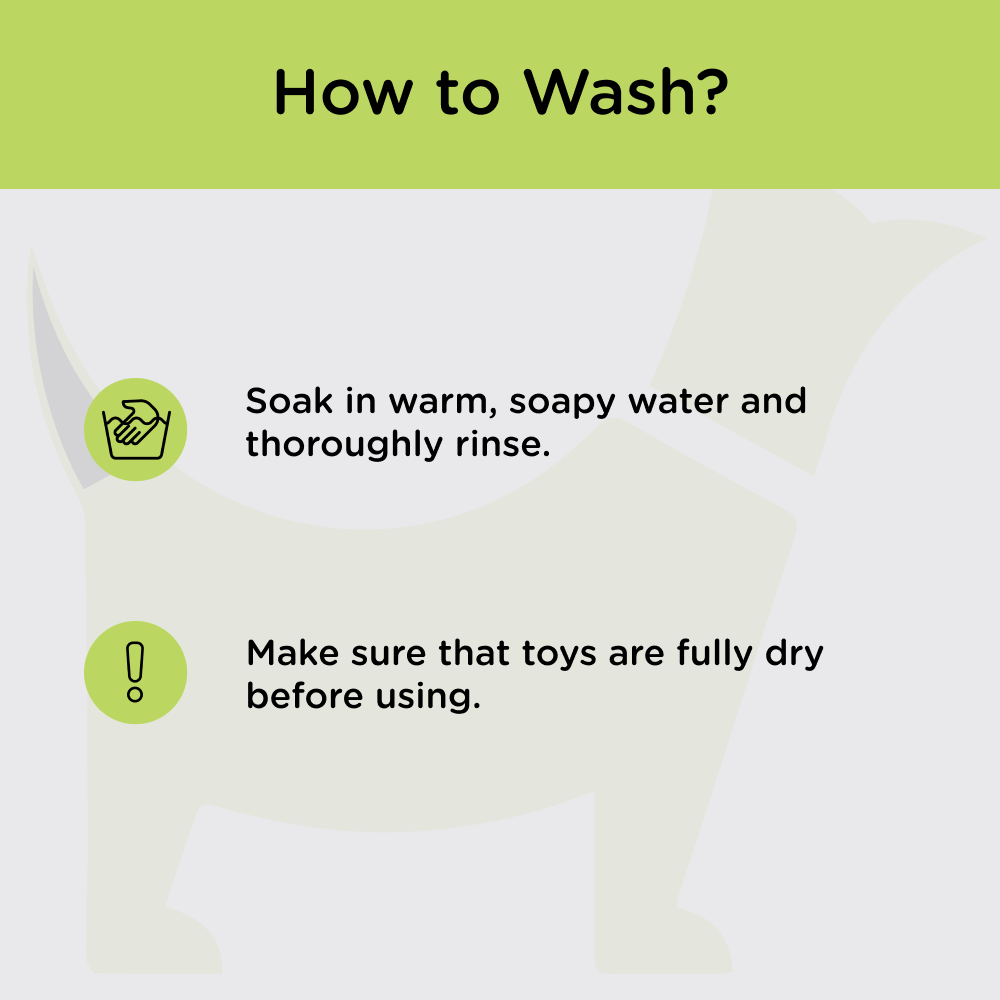 M Pets Squeaky Ball Toy For Dogs Combo Green Blue