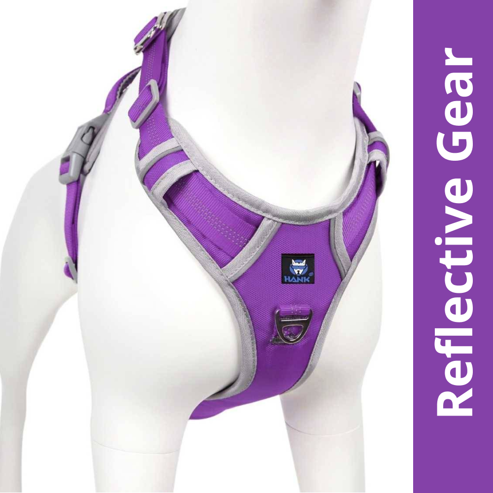 Hank 3M Reflective Harness for Puller Dogs (Grey/Violet)
