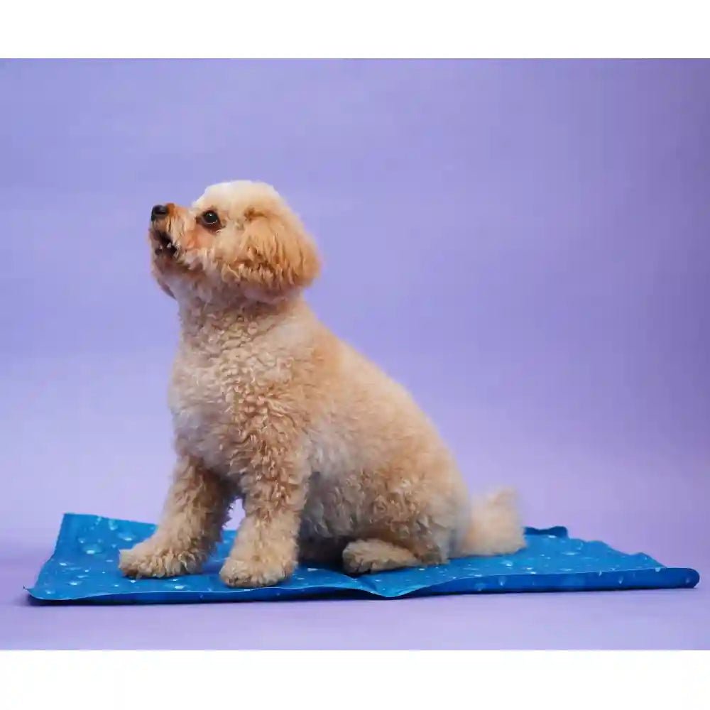 Skatrs Cooling Mat for Dogs (Blue)