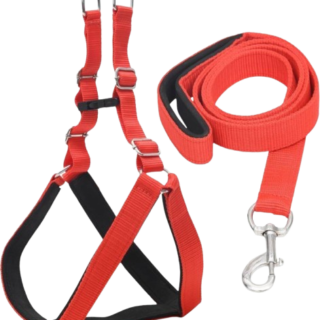 Chullbull Pet Products Harness and Leash for Dogs (Red)