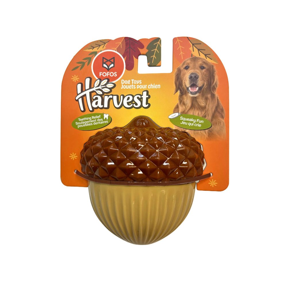 Fofos Harvest Acorn TPR Toy for Dogs