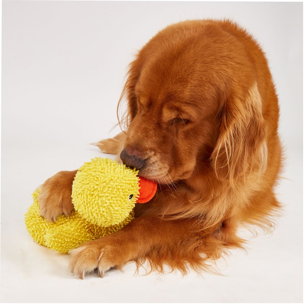 Fofos Jeep Duck Tough Plush Toy for Dogs - Image 2