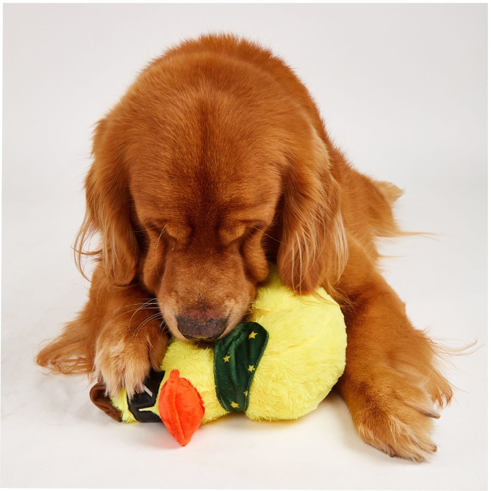 Fofos Cowboy Duck Jeep Plush Toy for Dogs - Image 2