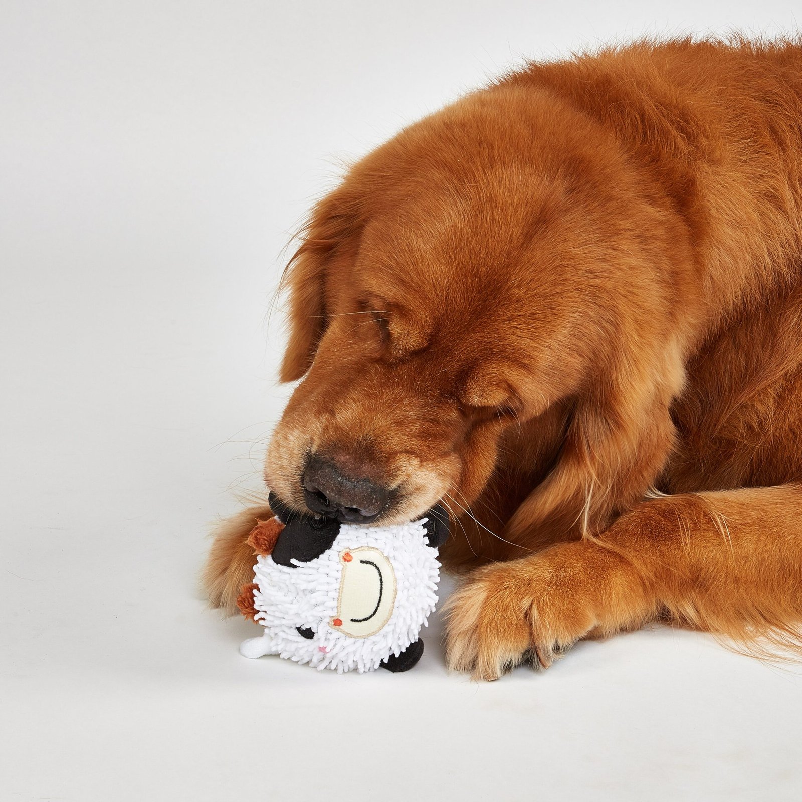 Fofos Pig and Cow Sprike Ball Animal Toy for Dogs - Image 2