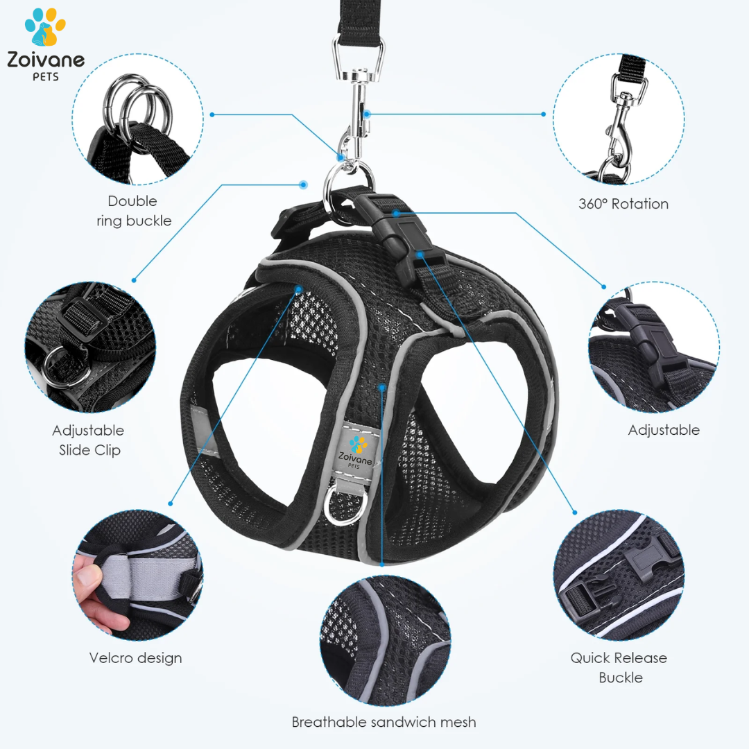 Zoivane Harness for Cats (Black)