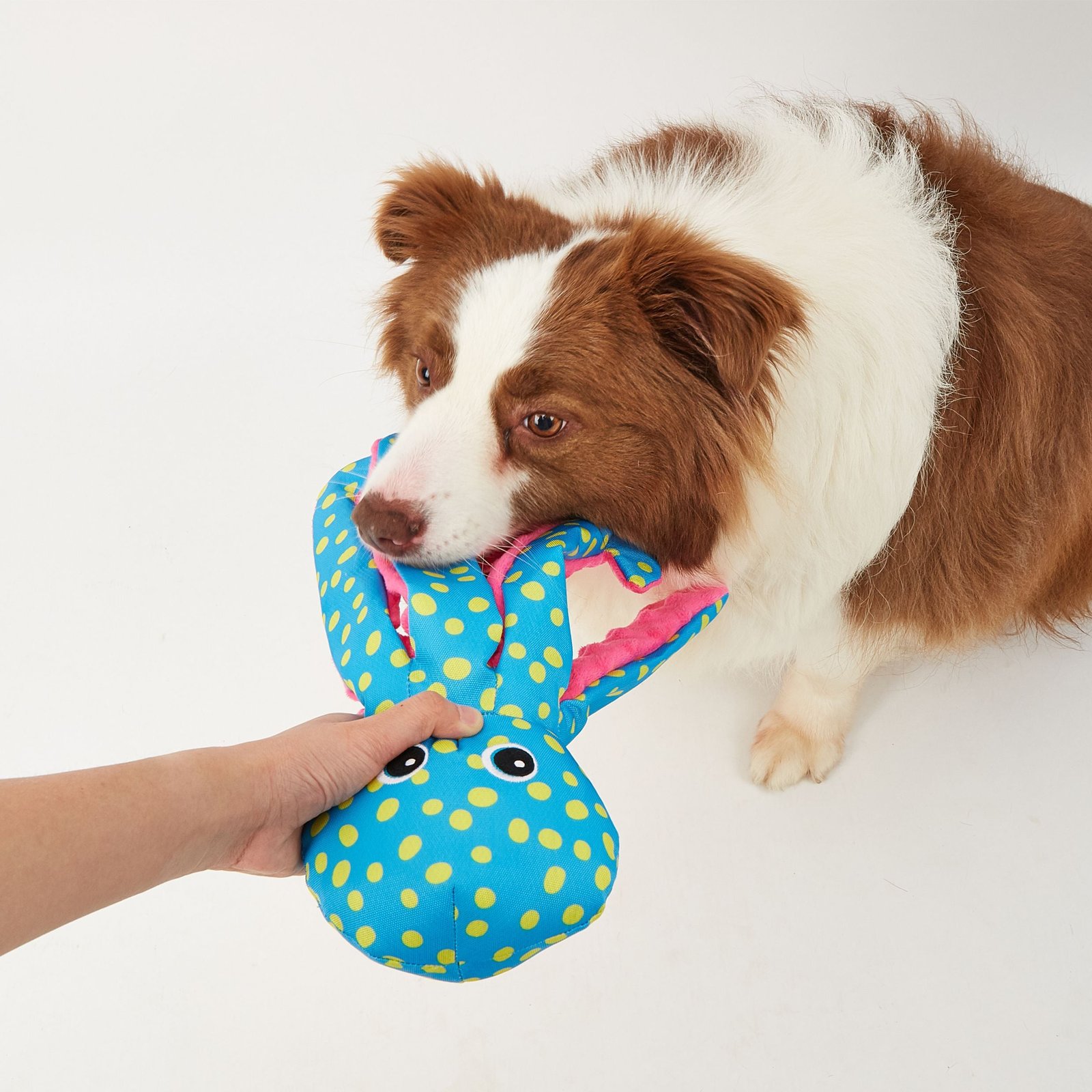 Fofos Octopus Sealife Plush Toy for Dogs (Blue) - Image 3