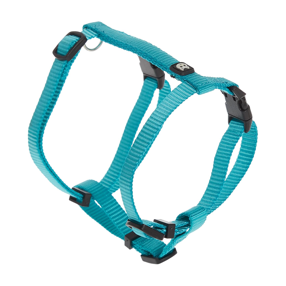 M Pets Catogo Harness & Leash for Cats (Blue) - Image 2