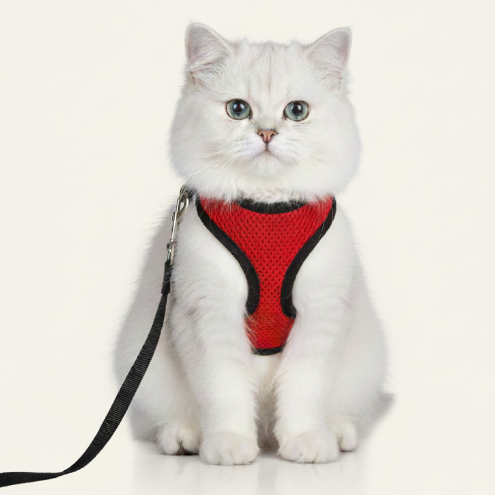 Skatrs Harness with Leash for Cats (Red)