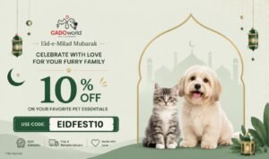 Festive Celebrations & Offers