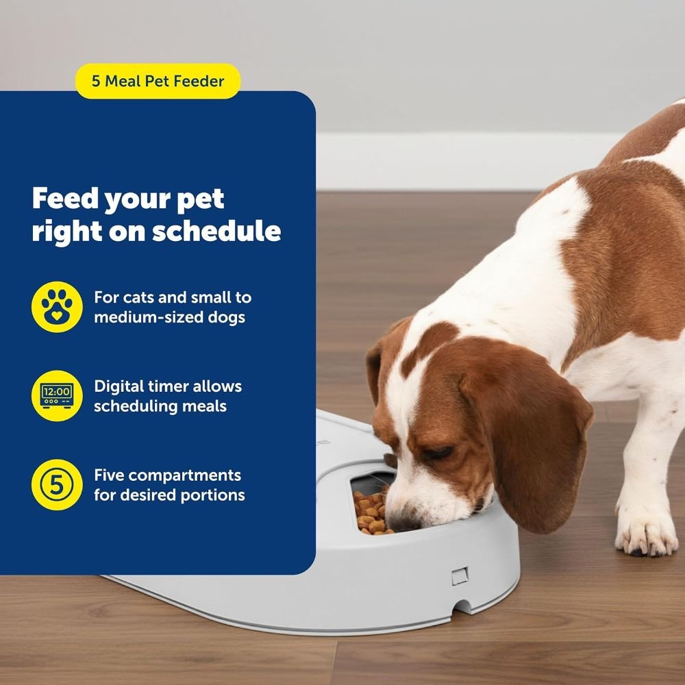 PetSafe 5 Meal Automatic Pet Feeder for Dogs and Cats - Image 3