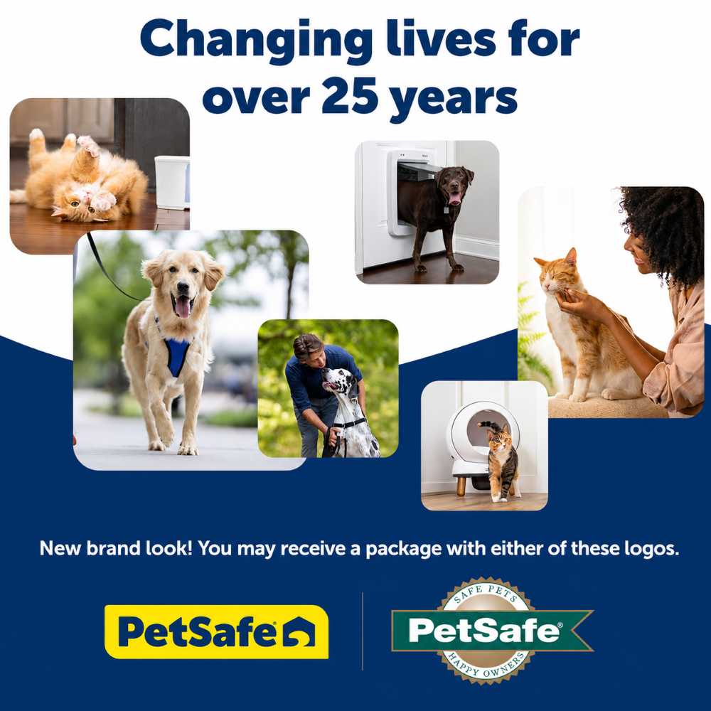 PetSafe Drinkwell Stainless Steel 360 Replacement Filter for Pet Fountain for Dogs and Cats - Image 3
