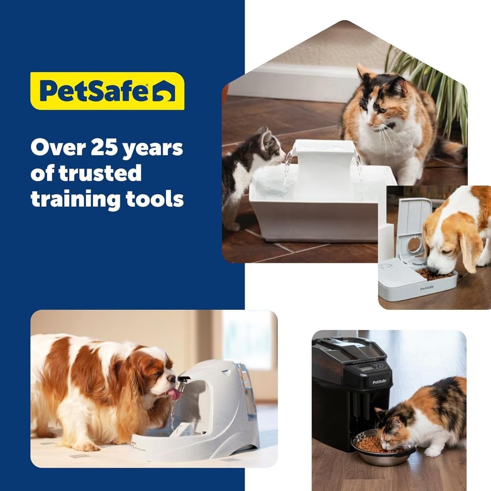 PetSafe 5 Meal Automatic Pet Feeder for Dogs and Cats - Image 2