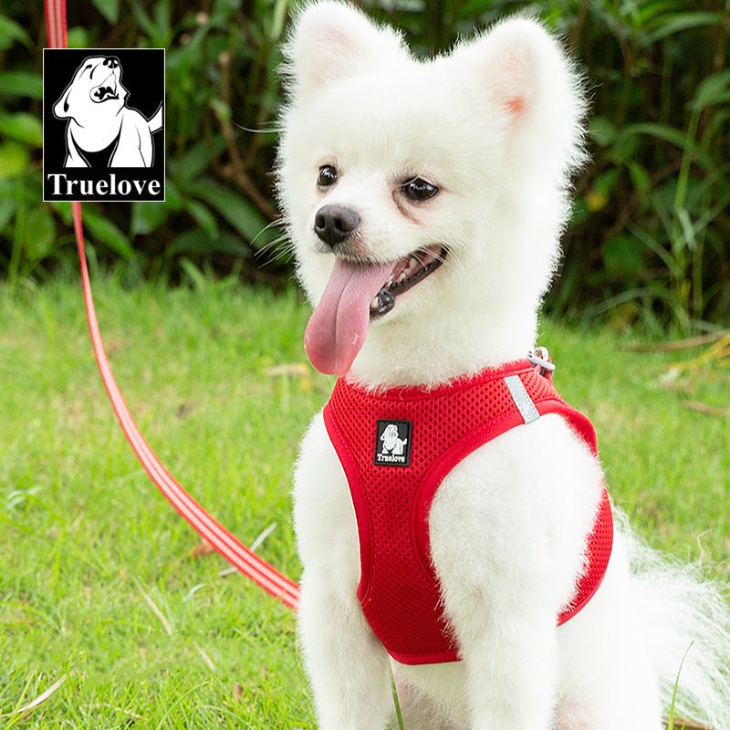Truelove Mesh Harness & Leash Set for Cats & Small & Medium Dogs (Red)