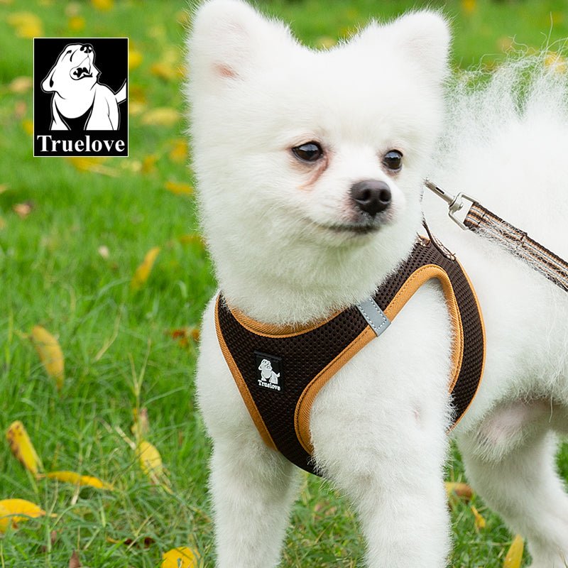 Truelove Mesh Harness & Leash Set for Cats & Small & Medium Dogs (Brown)